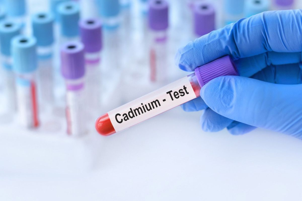 Cadmium : le dernier scandale de santé publique ? Que faut-il savoir ?